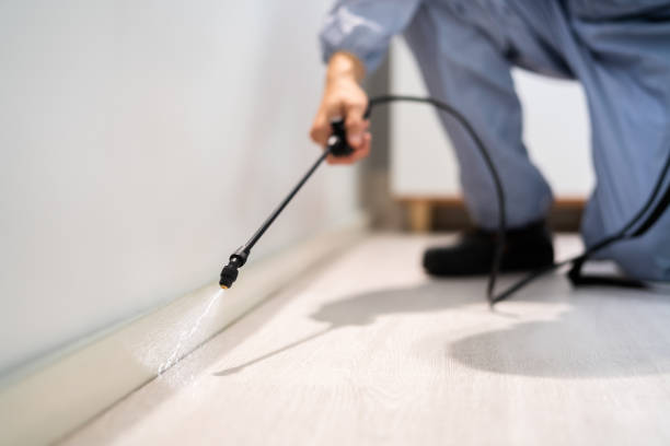 Licensed Termite Control service in Round Rock, TX - Nex Pest Control