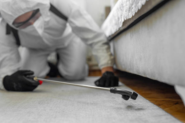 Professional Termite Control technician working in Round Rock, TX