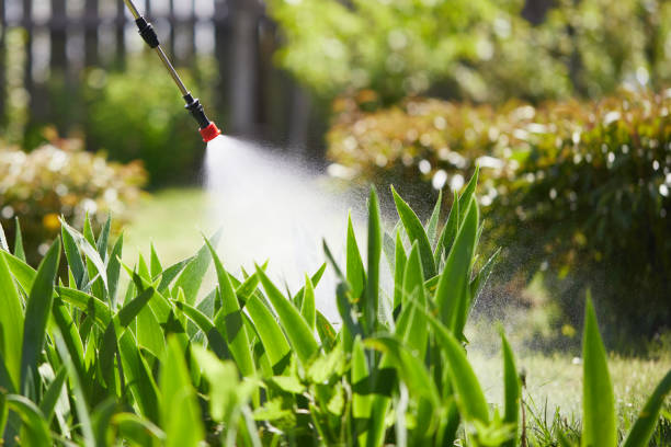 24/7 Emergency Termite Control experts in Round Rock, TX