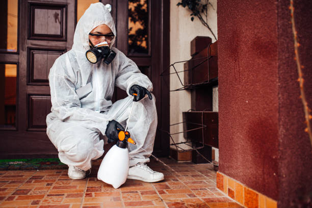 Reliable Termite Control contractor in Round Rock, TX by Nex Pest Control