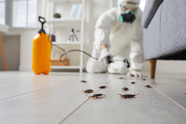 Trusted Mosquito Control service in Round Rock, TX - Nex Pest Control