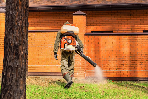 Trusted Termite Control service in Round Rock, TX - Nex Pest Control
